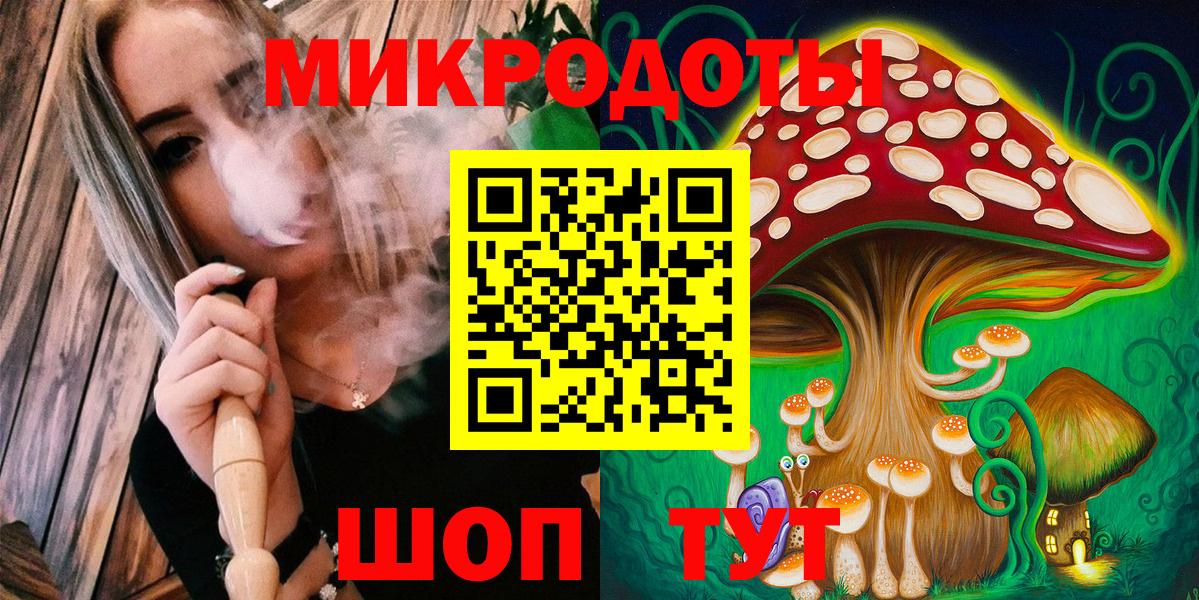 Северск  магазин продажи наркотиков  Галлюциногенные грибы Psilocybe  Вход с VPN  Галлюциногенные грибы мицелий 